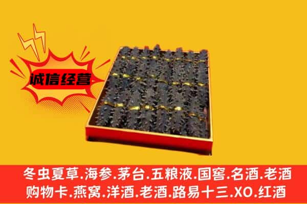 百色市田阳回收海参